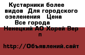 Кустарники более 100 видов. Для городского озеленения › Цена ­ 70 - Все города  »    . Ненецкий АО,Хорей-Вер п.